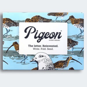 Hebridean Pigeons